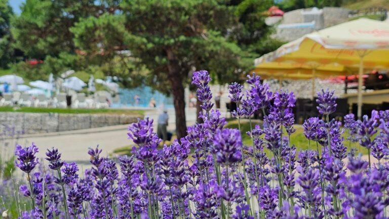 U četiri mjeseca 2025. turisti u BiH ostvarili 450.559 posjeta