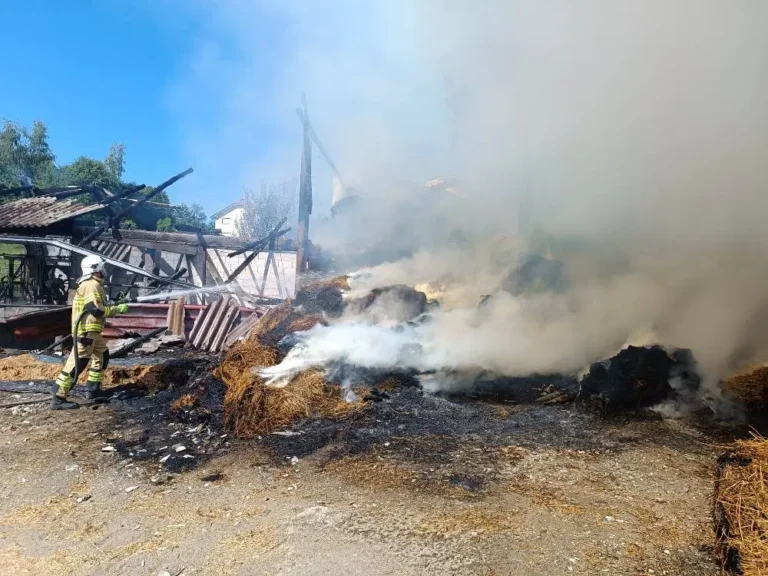 Veliki požar zahvatio farmu u Vukovijama kod Kalesije