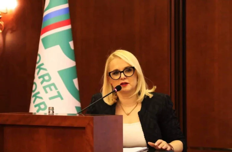 Zloupotreba položaja: Elzina Pirić i saradnici proglašeni krivima