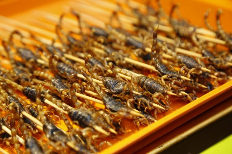 Hrana budućnosti: Da li ćemo zaista jesti insekte umjesto mesa?