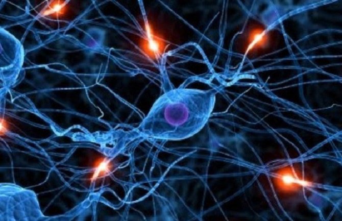 Hormoni – tihi dirigenti koji upravljaju vašim tijelom