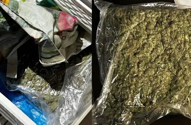 Policija zaplijenila drogu u Lukavcu