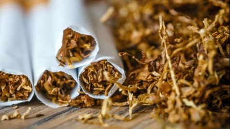 Optuženi za šverc 300 tona duhana: Podignuta optužnica