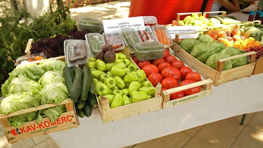 Salmonela ponovo u fokusu: Šta otkriva odbijena pošiljka iz BiH?/ Rast cijena hrane i struje povećao inflatorni pritisak u BiH/ Cijene hrane u svijetu nastavljaju pad