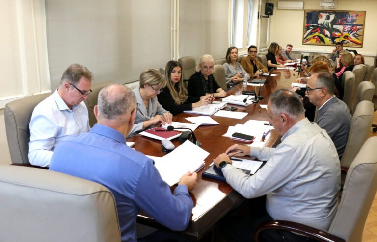 Regulacioni plan Topolica ide pred Gradsko vijeće