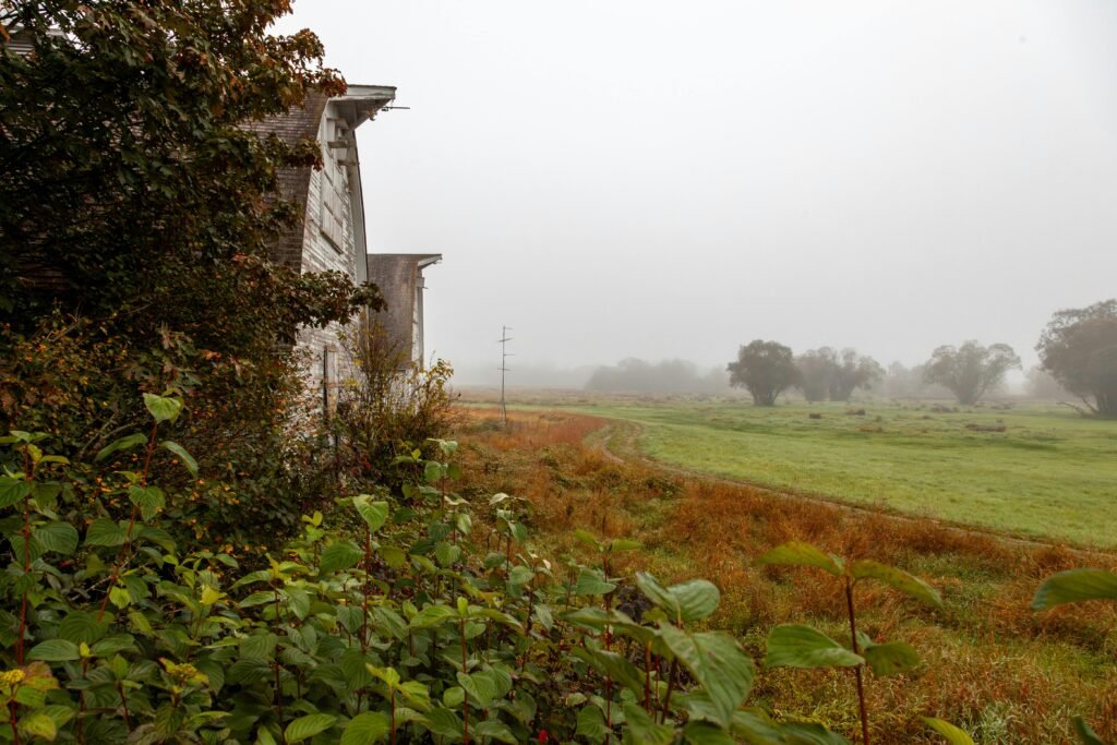 Naglo zahlađenje vremena/ Danas pretežno oblačno i hladnije