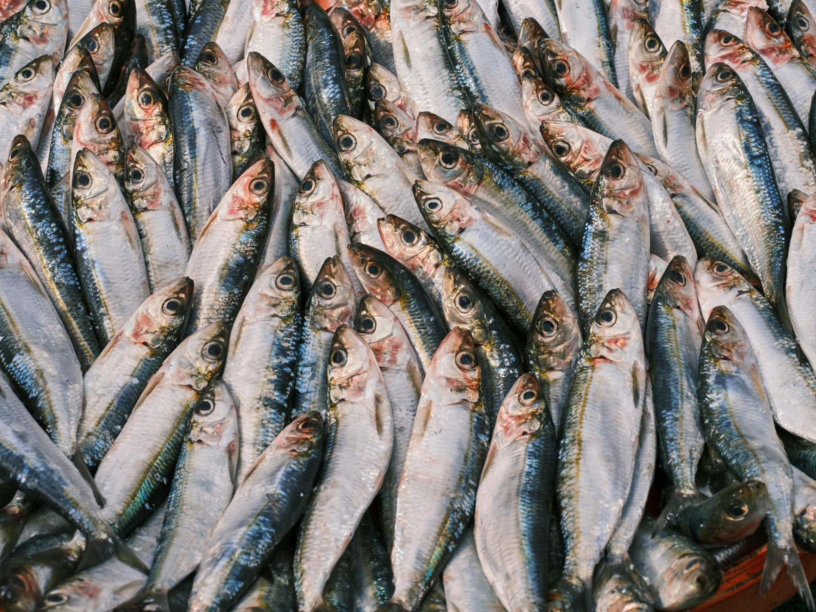 Ova riba iz marketa krije rizike po zdravlje - infolet.net