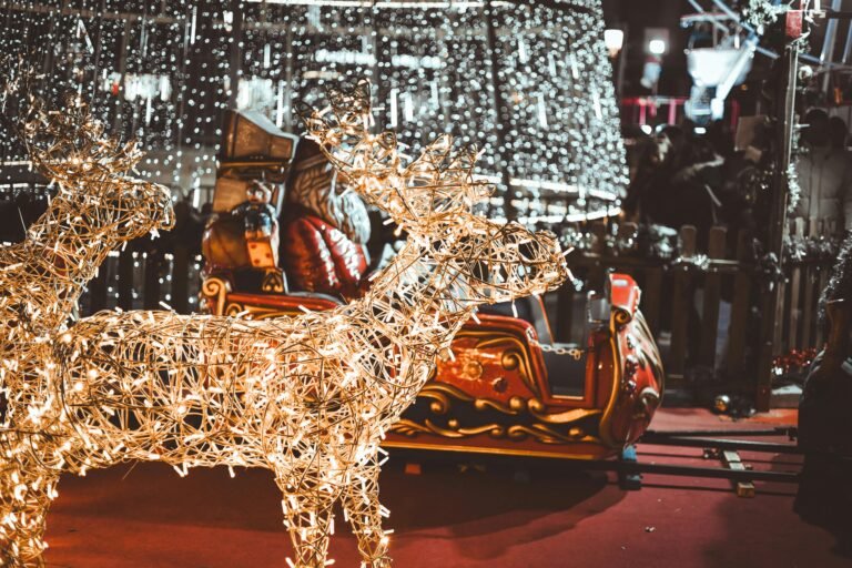 Djed Mraz „poletio“ širom svijeta: Evo kako ga pratiti online