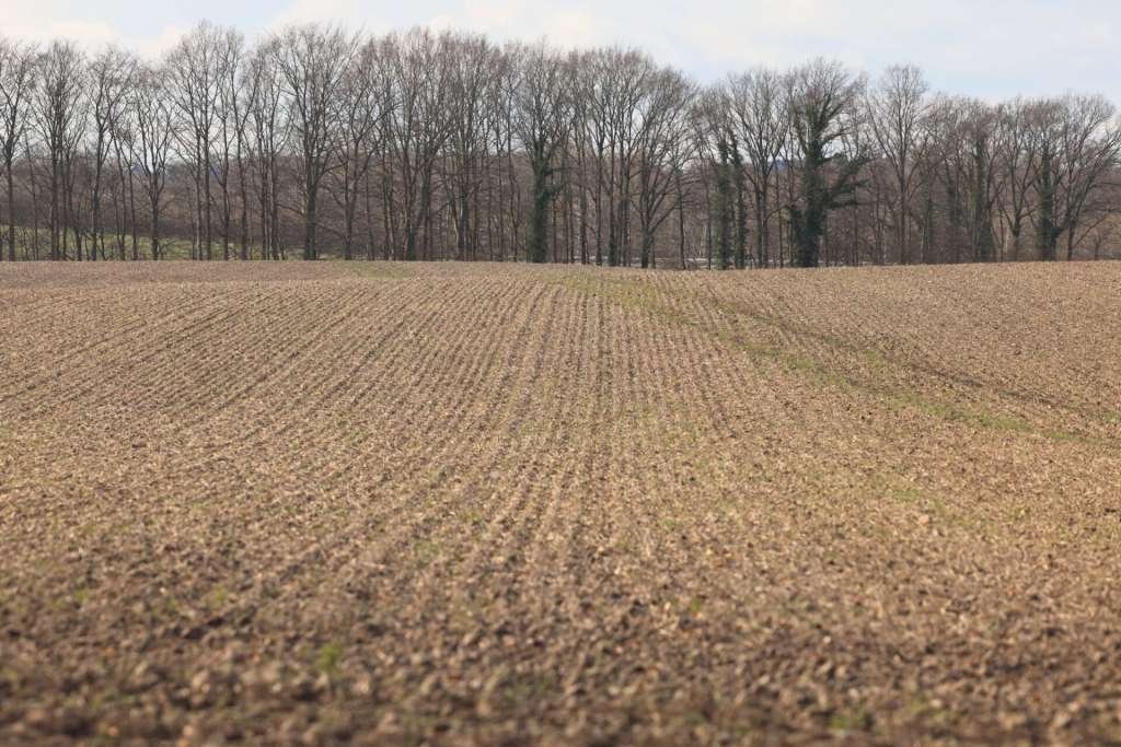 U BiH dodatna sredstva za mlade poljoprivrednike: Ukupno 7,6 miliona KM podrške/Poziv općinama i gradovima: Rok za projekte za korištenje sredstava za poljoprivredno zemljište TK