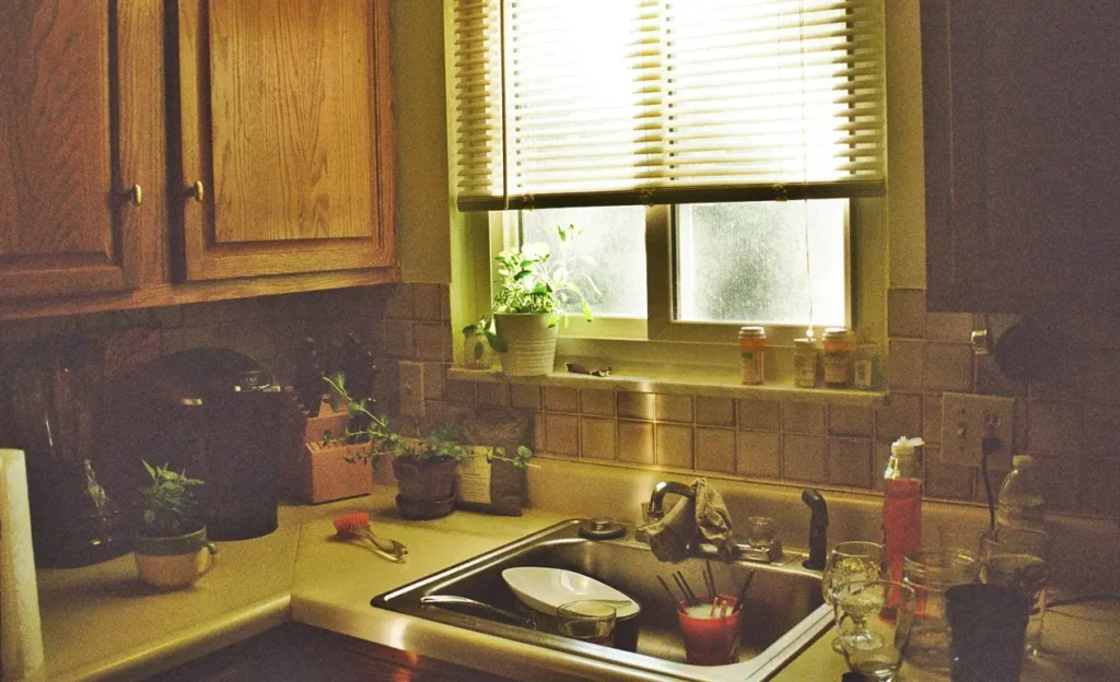 Zašto prljavo posuđe u sudoperi može ugroziti zdravlje vaše porodice