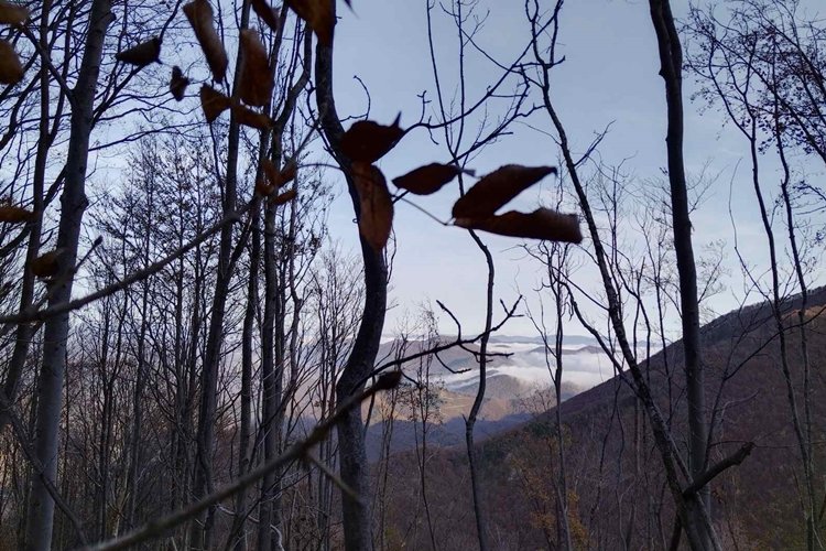 Danas sunčano uz maglu po kotlinama i niskim predjelima