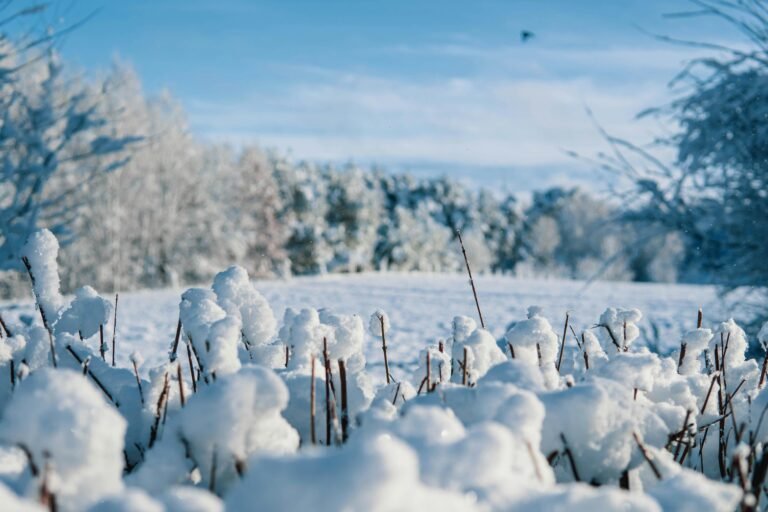 Vrijeme u BiH: Nakon hladnog početka januara stiže topliji period, ali i nove padavine