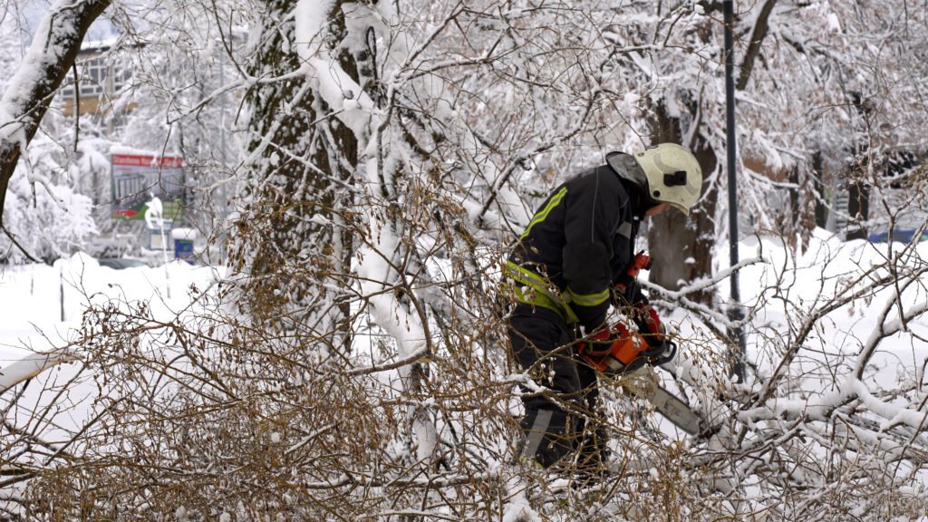 Vatrogasci uklanjaju oboreno drveće, snijeg i led paralizovali Tuzlu