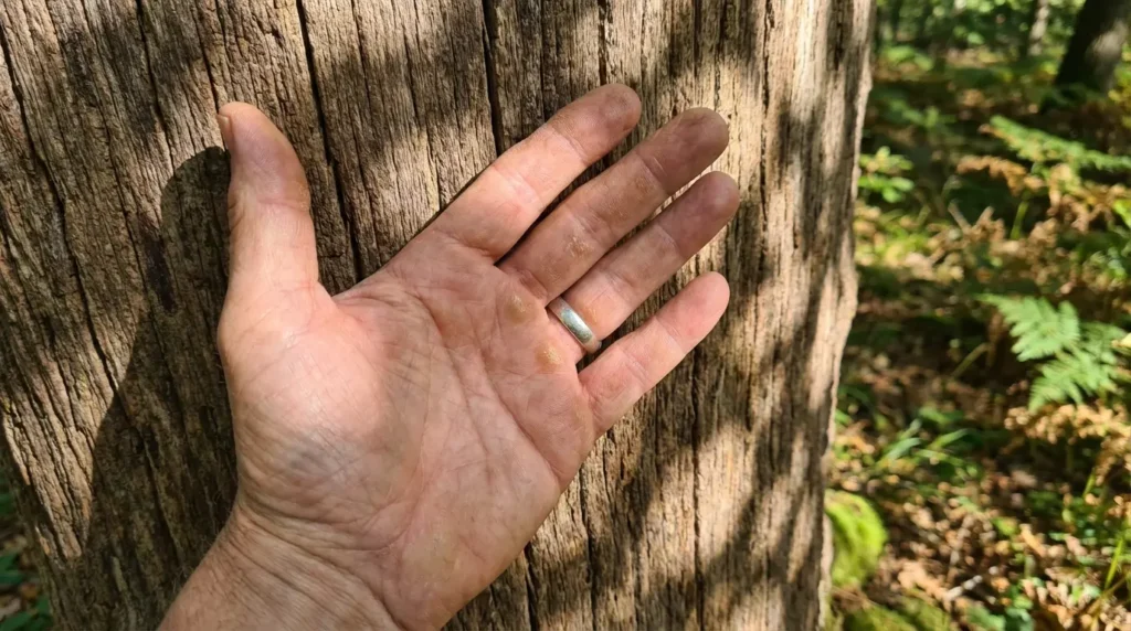 Svrbi li vas lijevi dlan: Znak novca ili poruka koju ne treba zanemariti