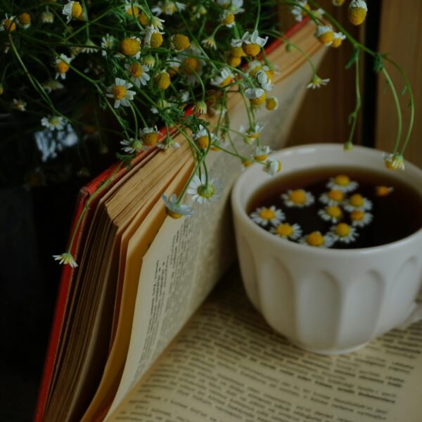 Čaj od kamilice: Prirodni saveznik sna, kostiju i mira