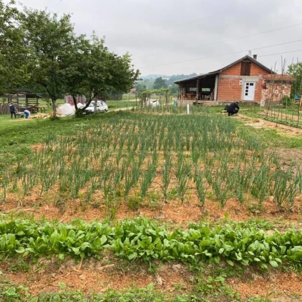 Vlada TK usvojila Plan proljetne sjetve za 2026. godinu