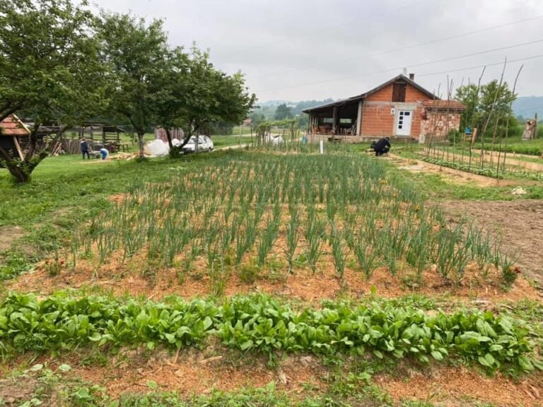 Vlada TK usvojila Plan proljetne sjetve za 2026. godinu