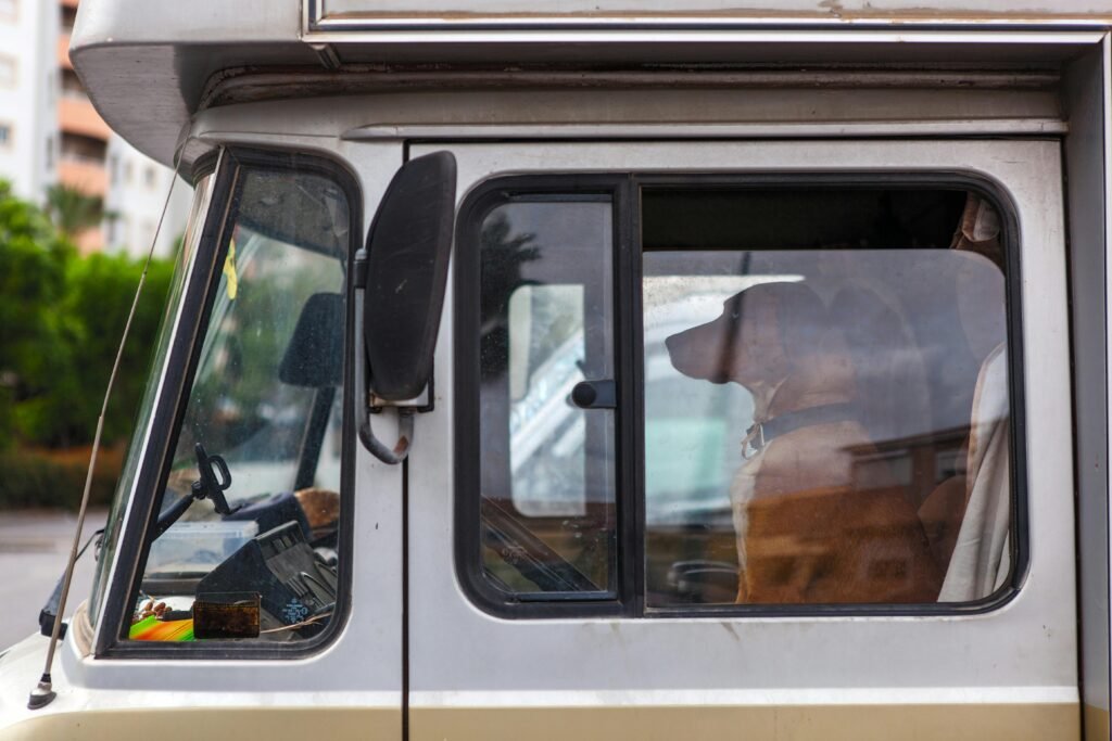 EU pooštrava pravila za putovanje kućnih ljubimaca