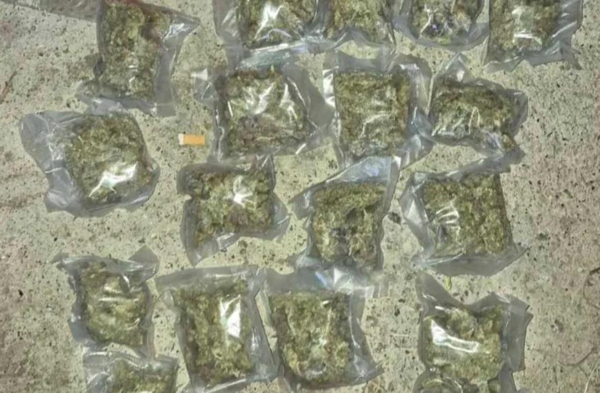 Velika policijska akcija u Gračanici: Pretresi na više lokacija zbog sumnje na trgovinu drogom